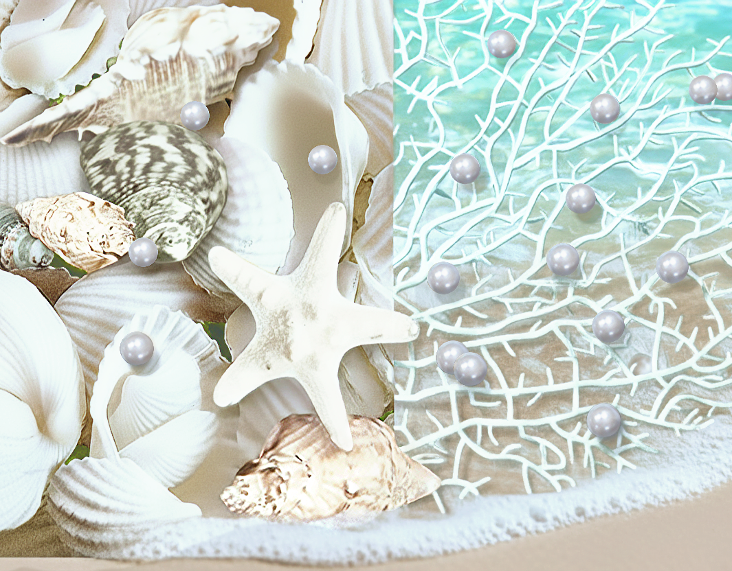 קונכיות ים צפות - טבעי - לבן/לבן - עם אפקטי צבע אקווה - קישוטי אגרטל ופיזור שולחן