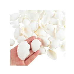 100 Floating White Seashells-White Coral Reef-Pearls-Aqua Sea Color Gels-Fills 4 Med Size Vases-With Exclusive Measured Floating Gels Prep Bag-Option of 3 Submersible Fairy Lights Strings